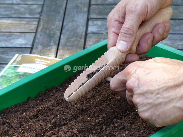 Outil de semis de Jardin Haofy Distributeur de semences semeur de semences semoir de jardinière réglable pour épandeur de semences 2 pièces 