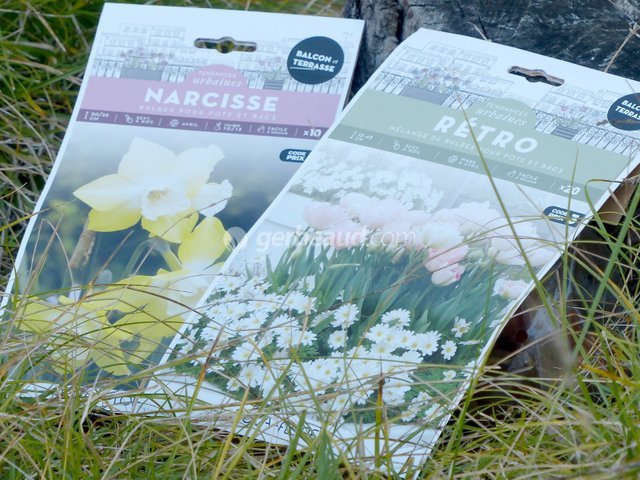 Sachets Tendances urbaines - Novaflore