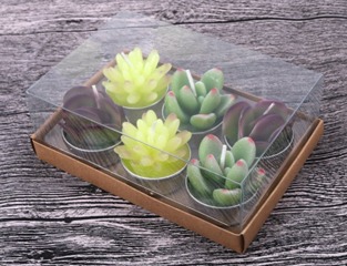 Bougie dînatoire couleur cactus 15 cm dans de très belles couleurs  tendances 10 pièces