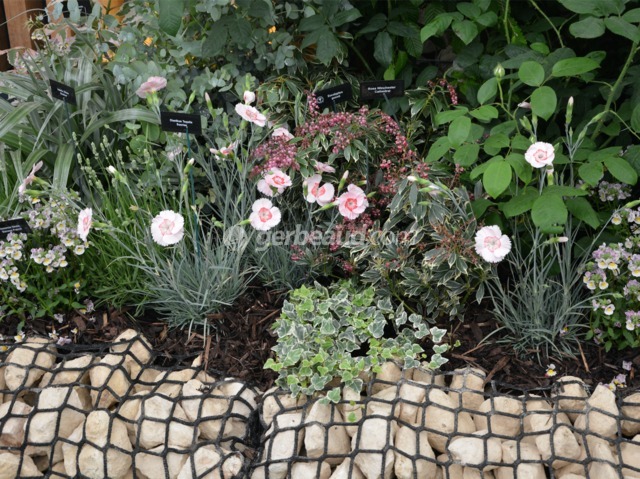 Bordure en pierres enfermées dans des filets