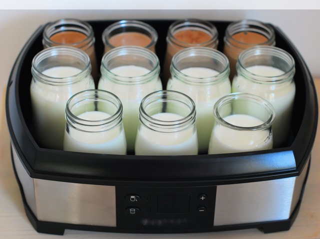 Ingrédients nécessaires à la fabrication de yaourts maison et ferments  lyophilisés