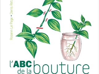  ABC DE LA BOUTURE (L'): 9782840386261: Le Page, Rosenn,  Retournard, Denis: Books
