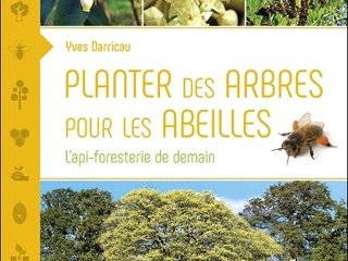 Planter des arbres pour les abeilles