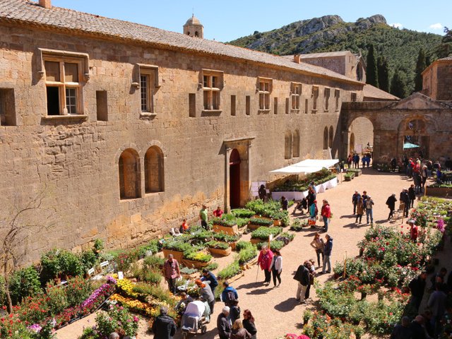 Fête des plantes de Fontfroide