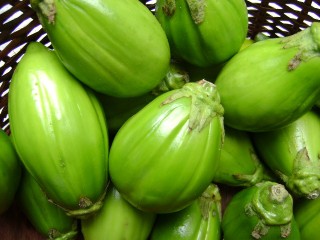 aubergine africaine verte