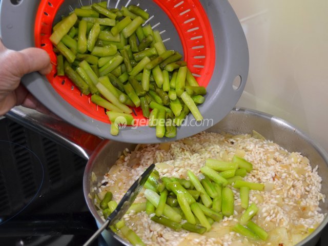 Ajout des tronçons d'asperge