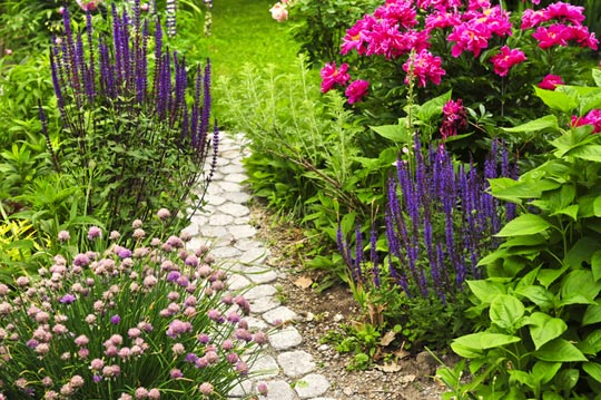 Savoir composer un beau jardin : nos fiches conseil pratiques