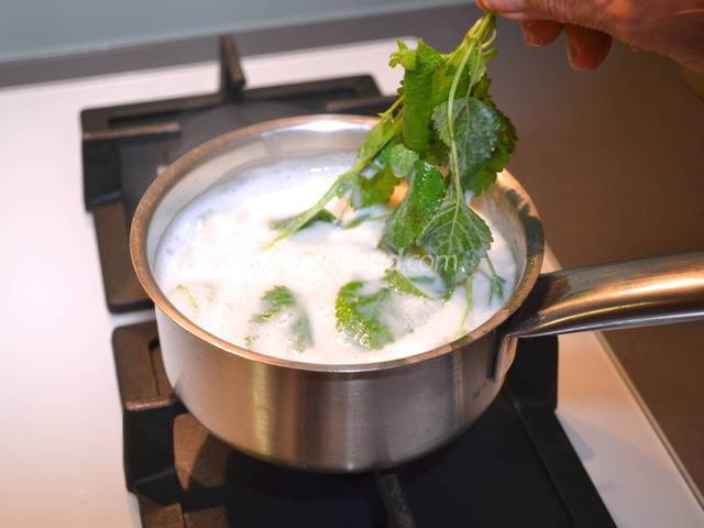 Infusion de la mélisse