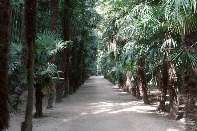 Bambouseraie de Prafrance (Gard)