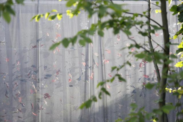 Hortus Allegoricus, Festival International des Jardins 2018