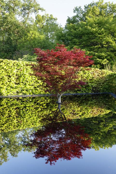 La possibilité d'une île, Festival International des Jardins 2018