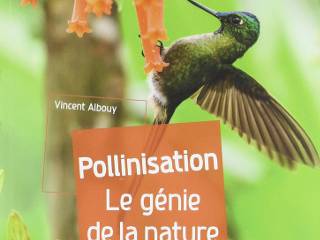 Pollinisation. Le génie de la nature