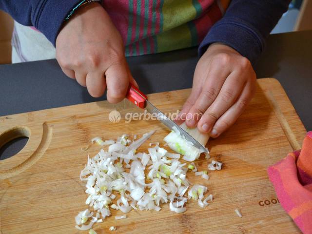 Découpe de l'oignon