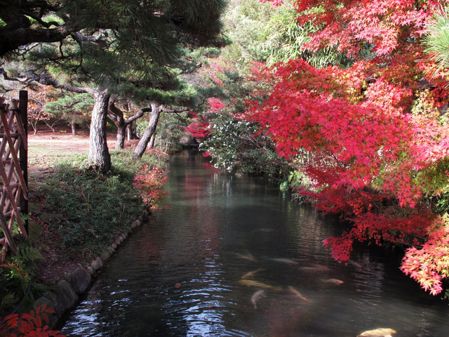 Jardin de Ritsurin (Takamatsu, préfecture de Kagawa, Japon)