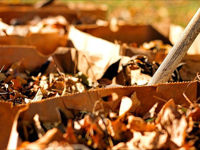 Sacs pour la collecte et le compostage des feuilles mortes