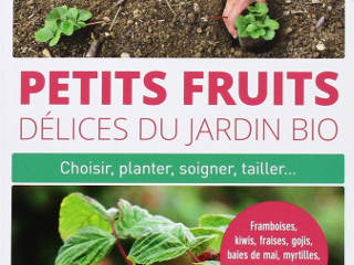 Petits fruits délices du jardin bio