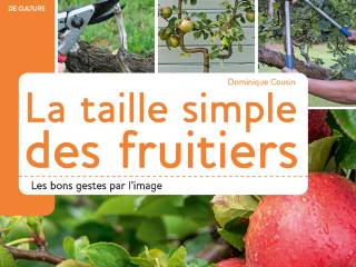 La taille simple des fruitiers