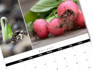 Légumes : calendrier des semis