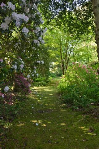 Jardin du Vasterival