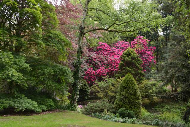Jardin du Vasterival
