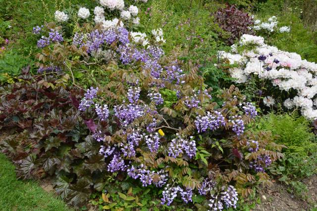 Jardin du Vasterival