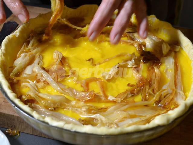 Disposition des endives