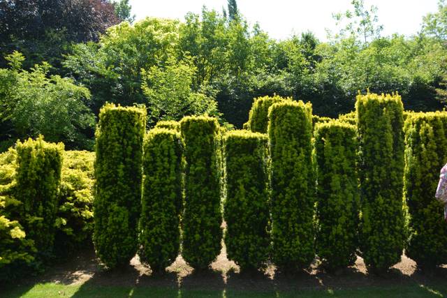 Jardins de Séricourt : le Jardin Guerrier