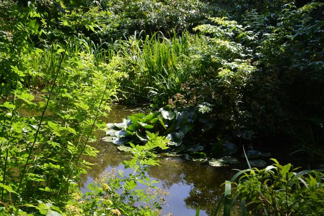 Sérénité et fraîcheur