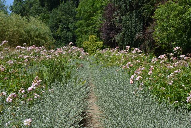 La croix au bout du chemin