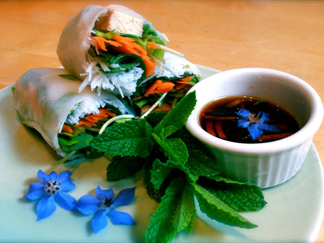 Menthe et rouleaux de printemps