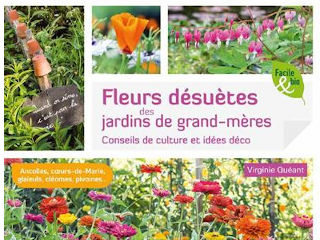 Fleurs désuètes des jardins de grand-mères