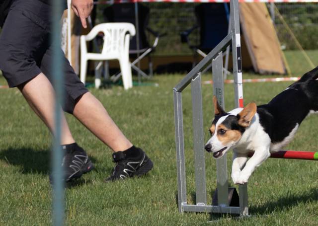 Agility