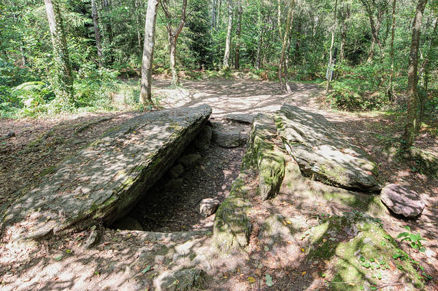 Forêt de Brocéliande