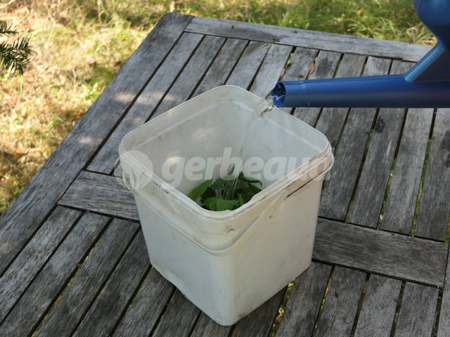 Ajout de l'eau de pluie dans le bac