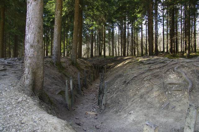 Verdun : tranchée au milieu de la forêt (Les plus belles forêts françaises)
