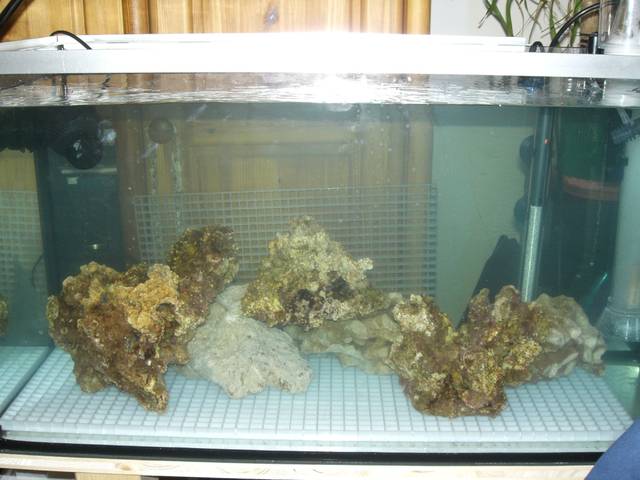Brassage aquarium eau de mer - Pompe à eau aquarium eau de mer