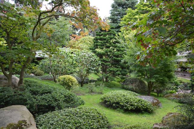 Jardin japonais Albert Kahn à Boulogne (92)