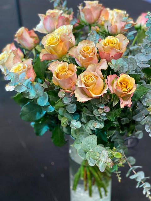 Rose Stéphane Plaza