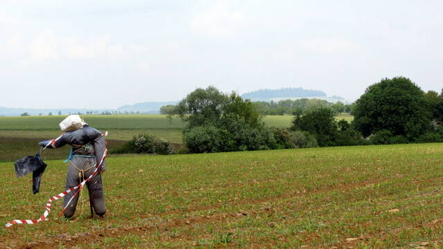 Epouvantail utilitaire