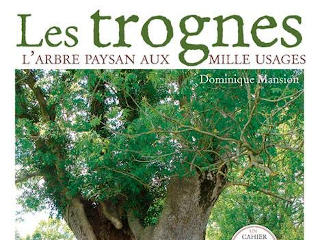 Les trognes : L'arbre paysan aux mille usages