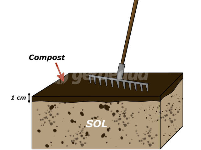 Sol prêt pour semer : ameubli et enrichi de compost