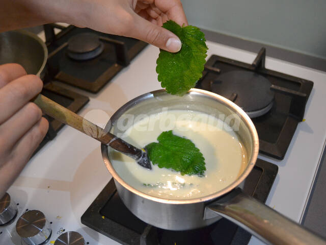 Ajout des feuilles de mélisse