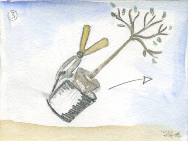 Extraction de l'arbuste de son conteneur