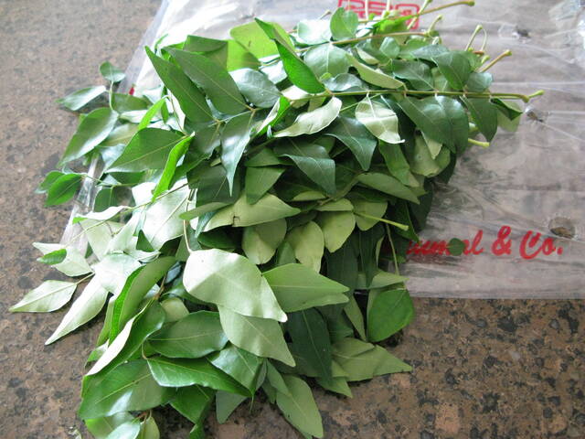 Feuilles de kaloupilé ou arbre à curry
