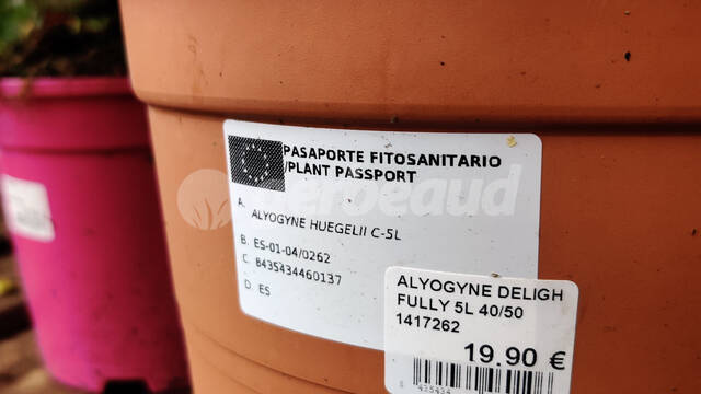 Le PP, un nouveau passeport phytosanitaire en vigueur pour les plantes