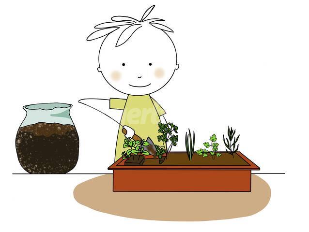 Comblement des espaces vides avec du terreau