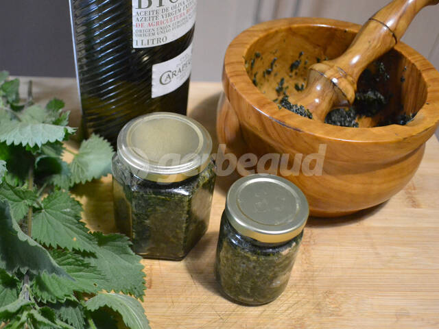 Pesto aux pousses d'orties