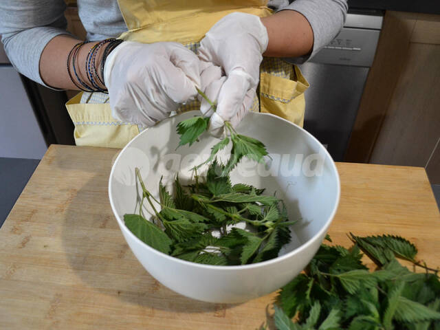 Effeuillage des tiges d'orties