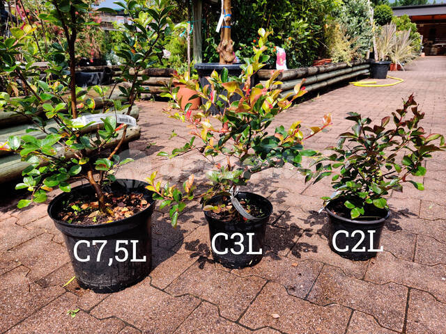 Conteneurs : comparaison de litrages