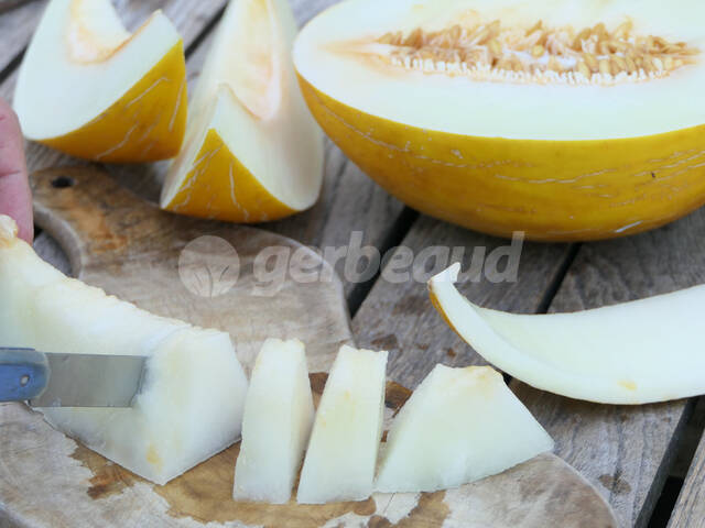 Découpe des morceaux de melon jaune
